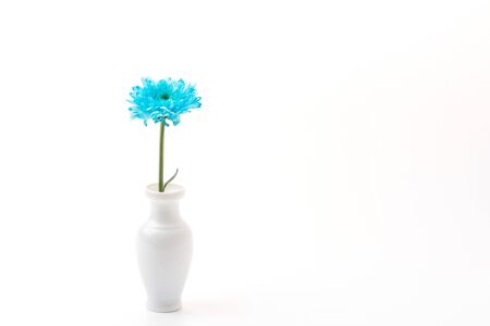 blue flower isolated on white backgroundの写真素材