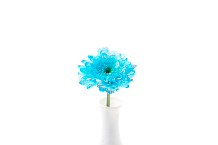 blue flower isolated on white backgroundの写真素材
