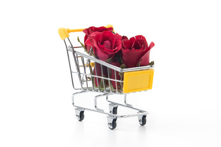 red rose isolated on white backgroundの写真素材