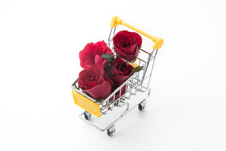 red rose isolated on white backgroundの写真素材