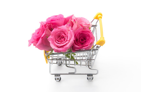 pink rose isolated on white backgroundの写真素材