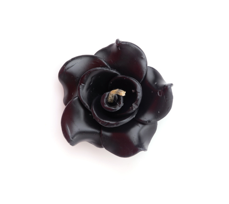 black candle rose on white backgroundの写真素材