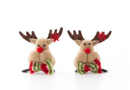 raindeer isolated on white backgroundの写真素材