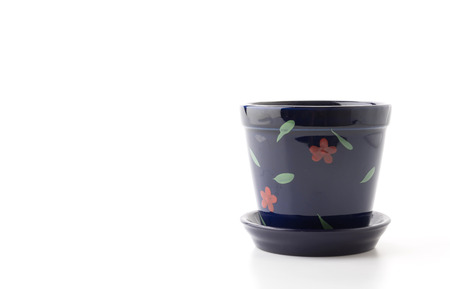 small potted isolated on white backgroundの写真素材