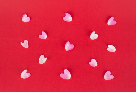 pink and white rose petals on red background