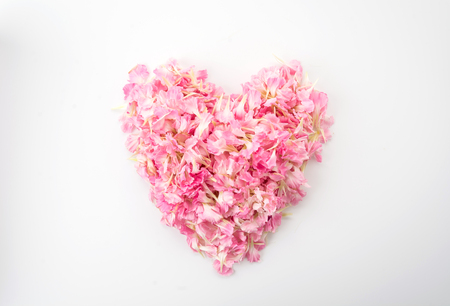 pink heart shape by carnations petalsの写真素材