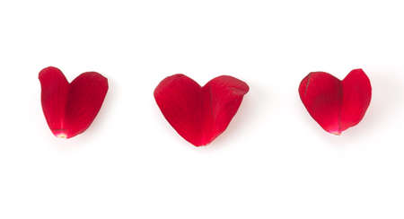 red rose petals on white backgroundの写真素材