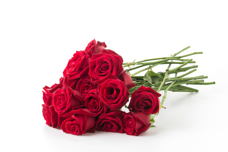 red rose isolated on white backgroundの写真素材