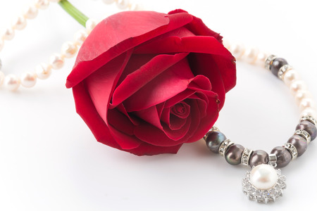 red rose and necklace  isolated on white backgroundの写真素材