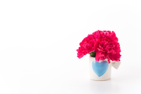 red carnations flower on white backgroundの写真素材