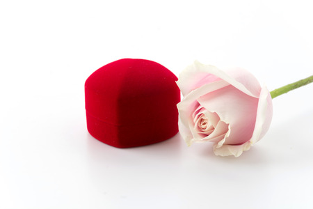 white and pink rose with ring box on white backgroundの写真素材