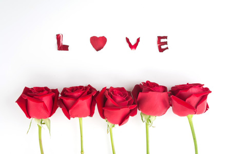 red rose isolated on white backgroundの写真素材