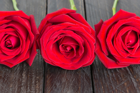 red rose on wood backgroundの写真素材