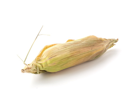 ears of corn on white backgroundの写真素材