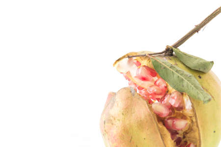 Fresh Pomegranate on white backgroundの写真素材