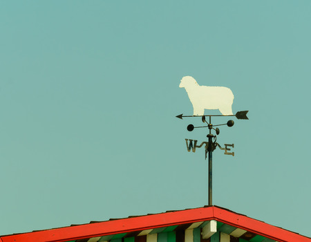 white sheep rooster weather vane in vintage color styleの写真素材