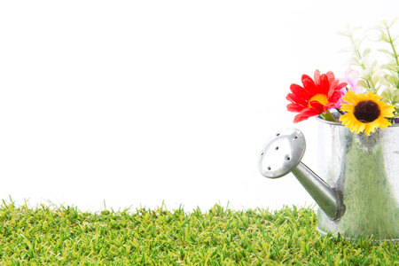 green grass turf on white with watering canの写真素材