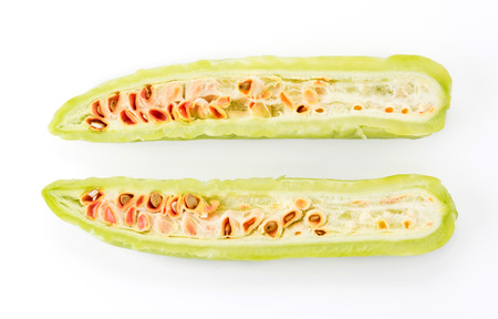 Momordica charantia on white backgroundの写真素材