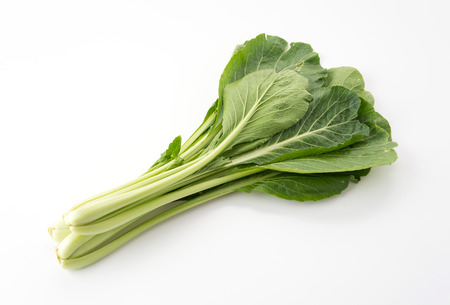 Chinese mustard green on white backgroundの写真素材