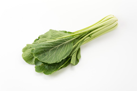 Chinese mustard green on white backgroundの写真素材