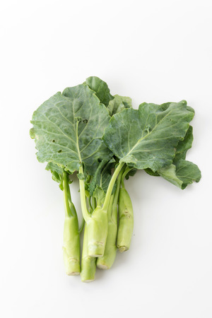 Chinese Kale on white backgroundの写真素材