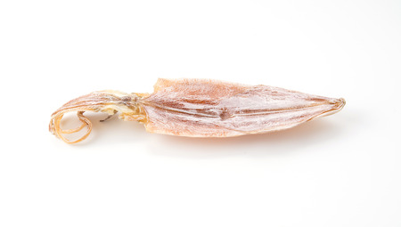 Dried squid on white の写真素材