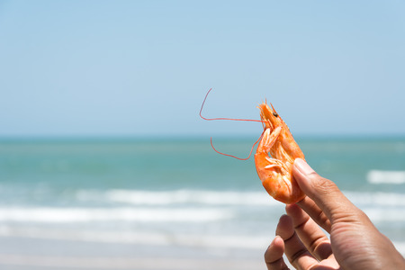 shrimp on hand with sea background - soft focus with film filterの写真素材