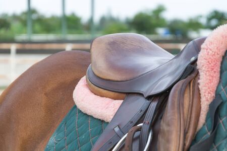 horse saddle - soft focus with film filterの写真素材