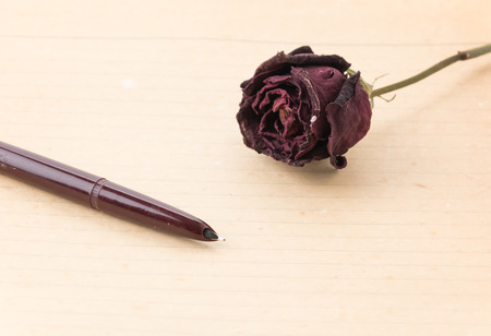 old paper with pen and rose on white backgroundの写真素材