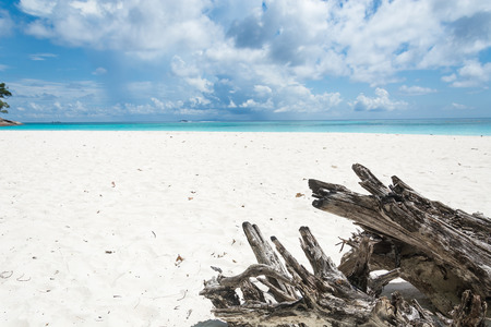 wood in sand with sea and akyの写真素材