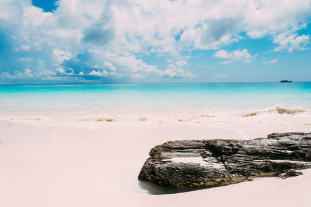 wood in sand with sea and aky - soft focus with film filterの写真素材