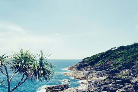 blue sky with beach sea and leaf - film filterの写真素材