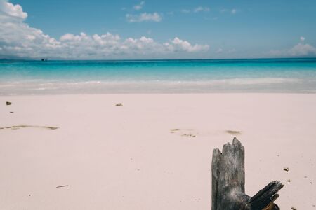 blue sky with beach sea and leaf - film filterの写真素材