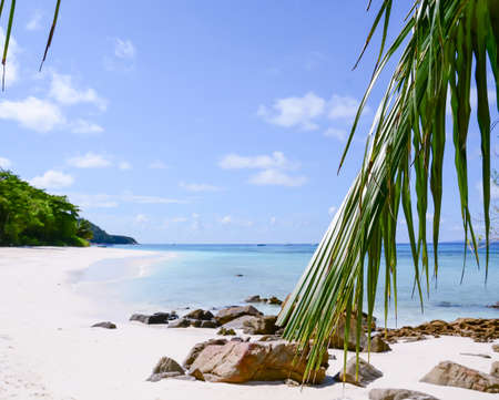 blue sky with beach sea and leaf - film filterの写真素材