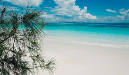 blue sky with beach sea and leaf - film filterの写真素材
