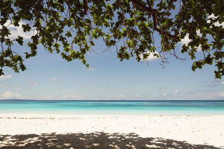 blue sky with beach sea and leaf - film filterの写真素材