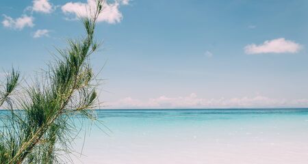 blue sky with beach sea and leaf - film filterの写真素材