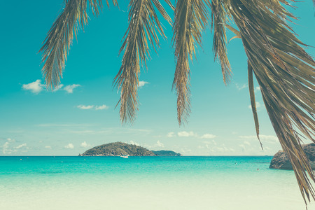 Palm and beach with sea - soft focus with film filter