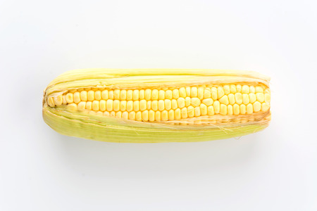 fresh corn on  white backgroundの写真素材