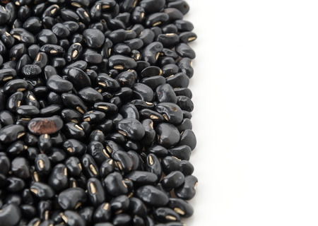 black beans on white backgroundの写真素材