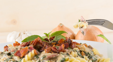 penne pasta with cream sauceの写真素材