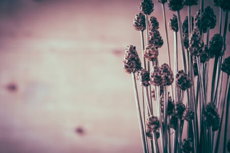 dry grass flower on wood background - soft focus with vintage film filterの写真素材