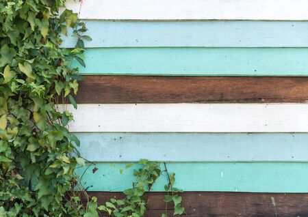 Vintage wood textures background - vintage effectの写真素材