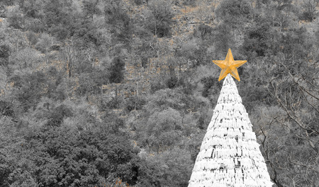 white christmas tree  with black and white background
