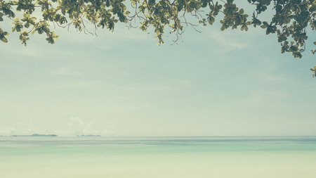 blue sky with beach sea and leaf - soft focus with film filterの写真素材