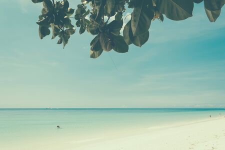 blue sky with beach sea and leaf - soft focus with film filterの写真素材