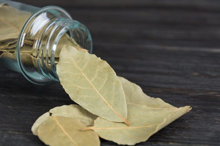 bay leaves in bottle on woodの写真素材