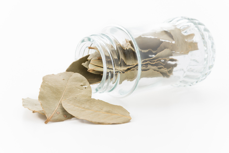bottle of bay leaf on whiteの写真素材
