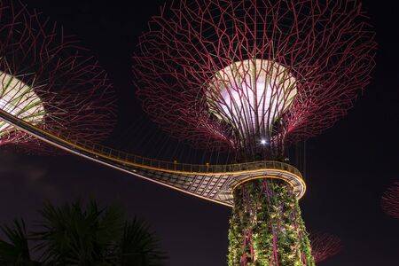 Gardens by the Bay at  Singaporeのeditorial素材