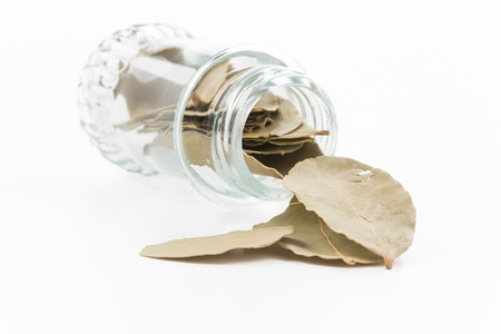 bottle of bay leaf on whiteの写真素材